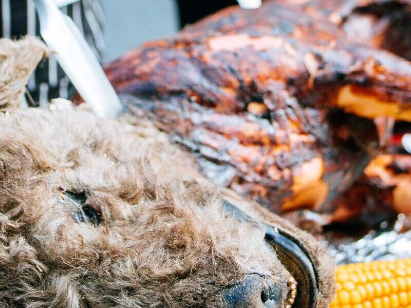 Eine Hundeatrappe auf einem Grill mit Gemuese.