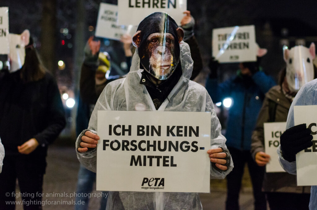 Demonstrant mit Affenmaske
