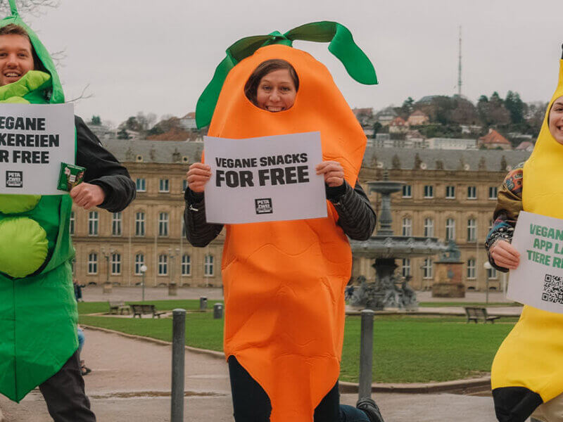 PETA Streetteam Stuttgart