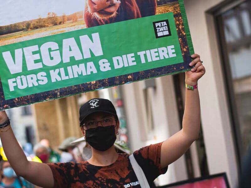 Person mit Plakat ueber de Kopf.