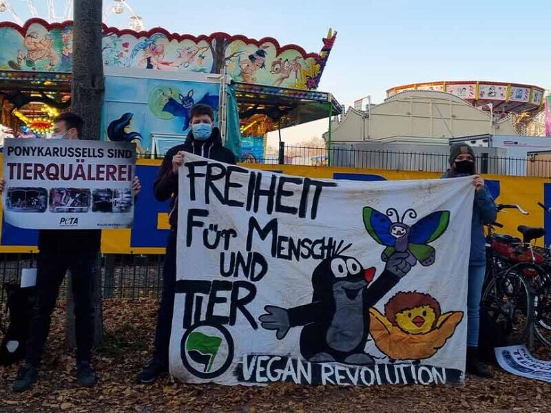 Menschen protestieren vor einem Jahrmarkt gegen Ponykarusselle