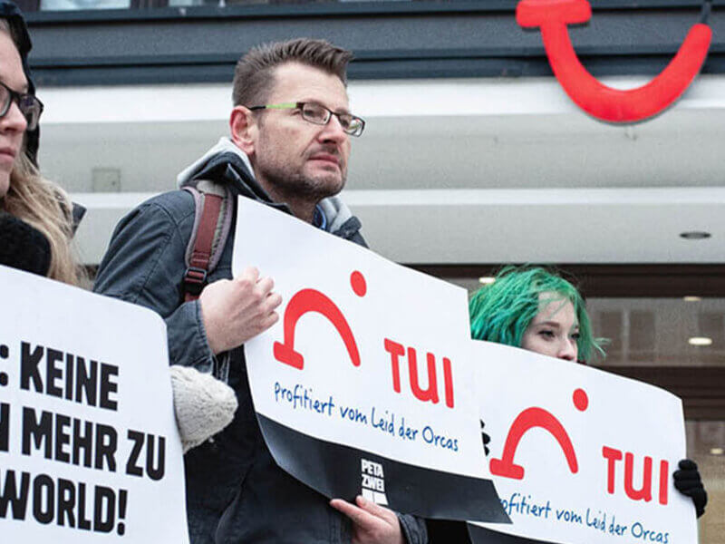 Tui Demo