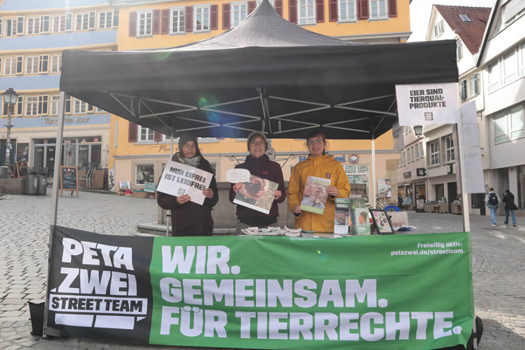 Drei Aktivisten stehen unter einem Zelt auf der Strasse.