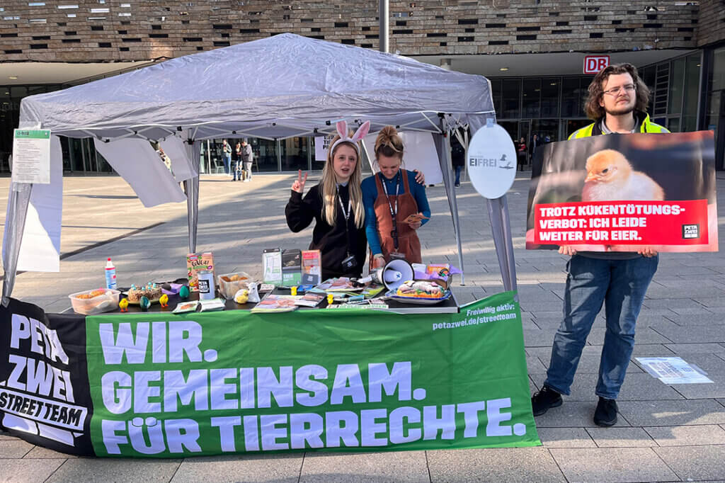 Aktivisten stehen mit Schildern und einem Zelt auf der Strasse.