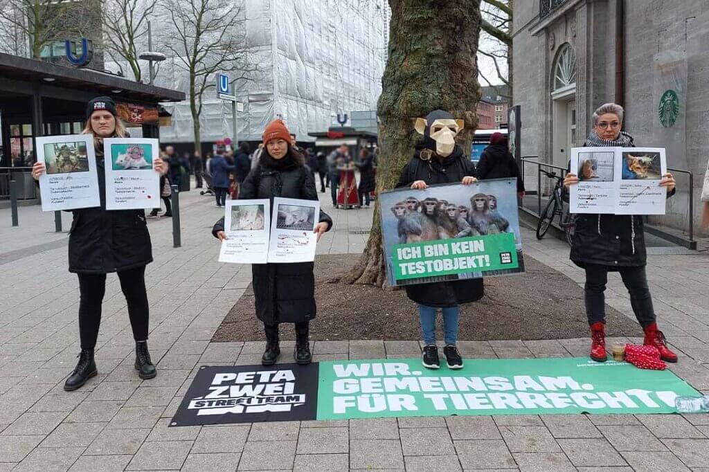 Demonstrierende gegen Tierversuche stehen mit Schildern und Bannern auf einer Strasse.