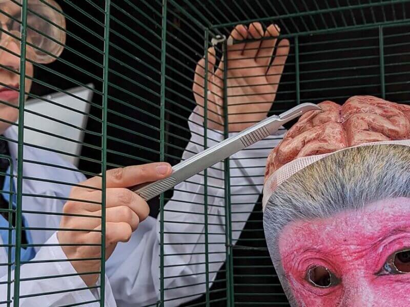 Demonstration gegen Tierversuche. Eine Person mit Affenmaske sitzt in einem Kaefig.