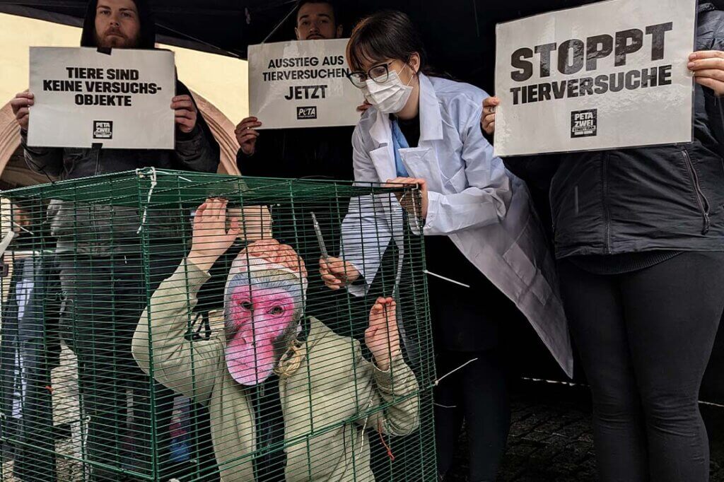 Demonstrierende gegen Tierversuche. Eine Person mit Affenmaske sitzt im Kaefig. Andere halten Schilder hoch.