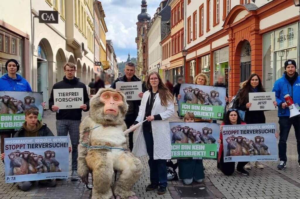 Demonstrierende gegen Tierversuche stehen mit Schildern und Bannern auf einer Strasse.