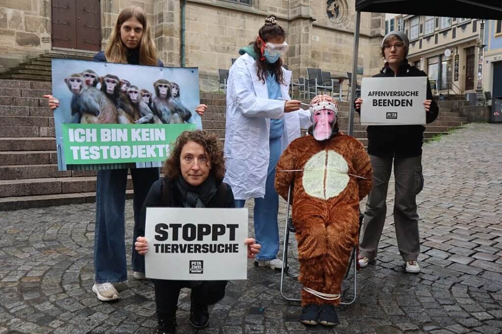 Demonstrierende im Affenkostuem und Arztkittel gegen Tierversuche stehen mit Schildern und Bannern auf einer Strasse.