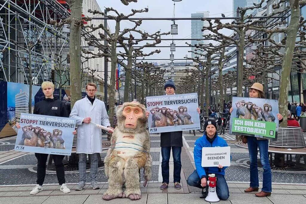 Demonstrierende gegen Tierversuche stehen mit Schildern und Bannern auf einer Strasse.