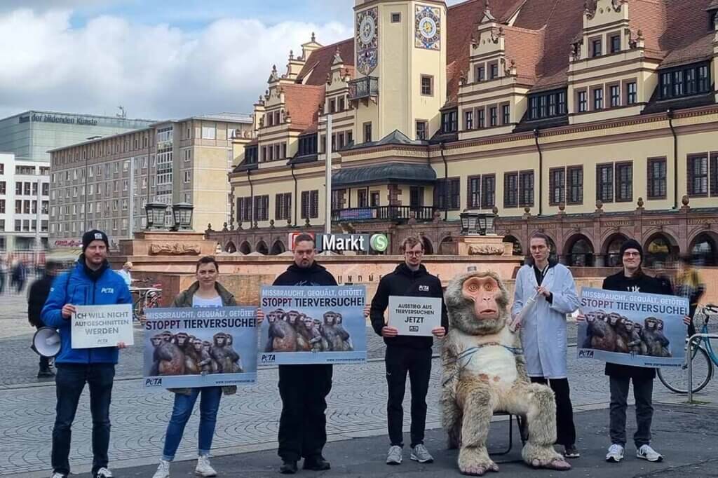 Demonstrierende gegen Tierversuche stehen mit Schildern und Bannern auf einer Strasse.