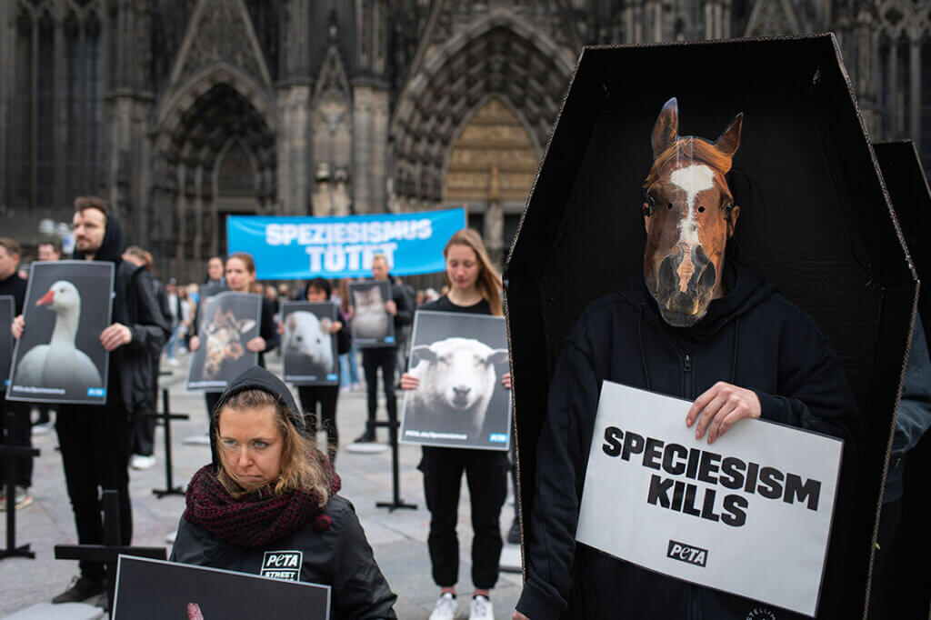 PETA Demo gegen Speziesismus vorm Koelner Dom. Person mit Pferdemaske steht in einem Sarg.