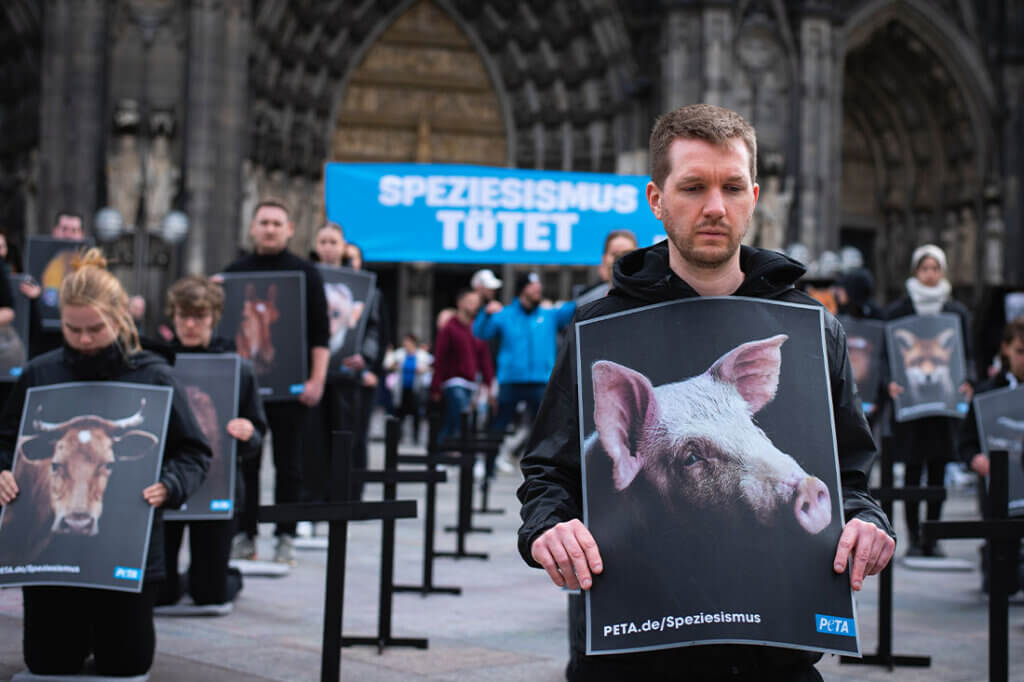 PETA Demo gegen Speziesismus vorm Koelner Dom. Mann mit Plakat kniet am Boden.