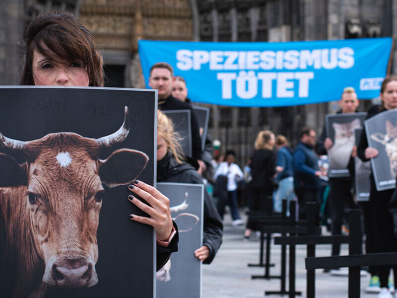 PETA Aktive demonstrieren mit Plakaten vor dem Koelner Dom gegen Speziesismus.