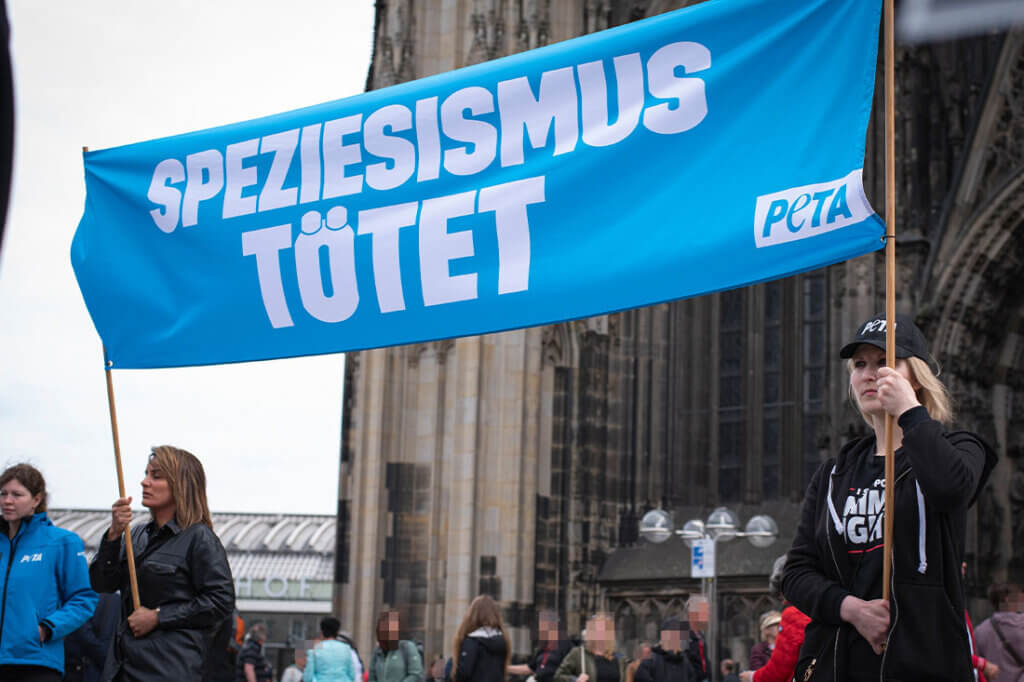 PETA Demo gegen Speziesismus vorm Koelner Dom. Blaues Banner mit der Aufschrift Speziesismus toetet.