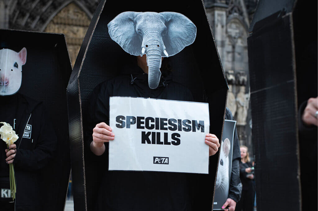 PETA Demo gegen Speziesismus vorm Koelner Dom. Person mit Elefantenmaske steht in einem Sarg.