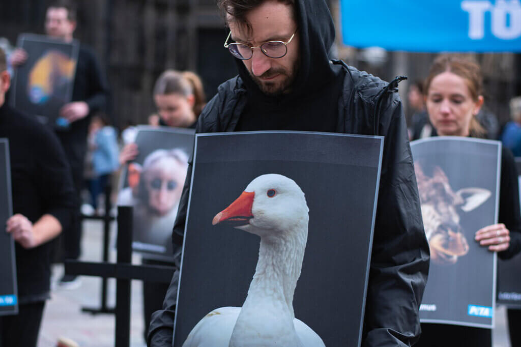 PETA Demo gegen Speziesismus vorm Koelner Dom. Mann mit Plakat kniet am Boden.