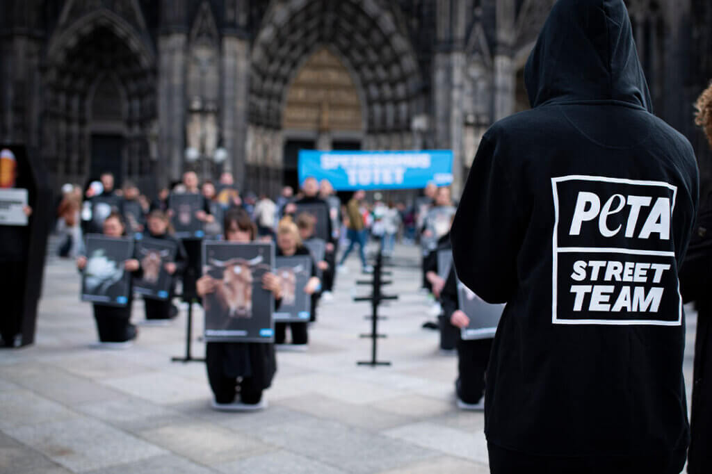 PETA Demo gegen Speziesismus vorm Koelner Dom. Personen mit Schildern in der Hand sind auf Knien.