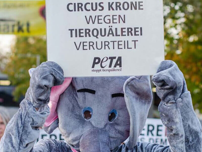 Mensch in einem Elefantenkostüm hält Schild hoch