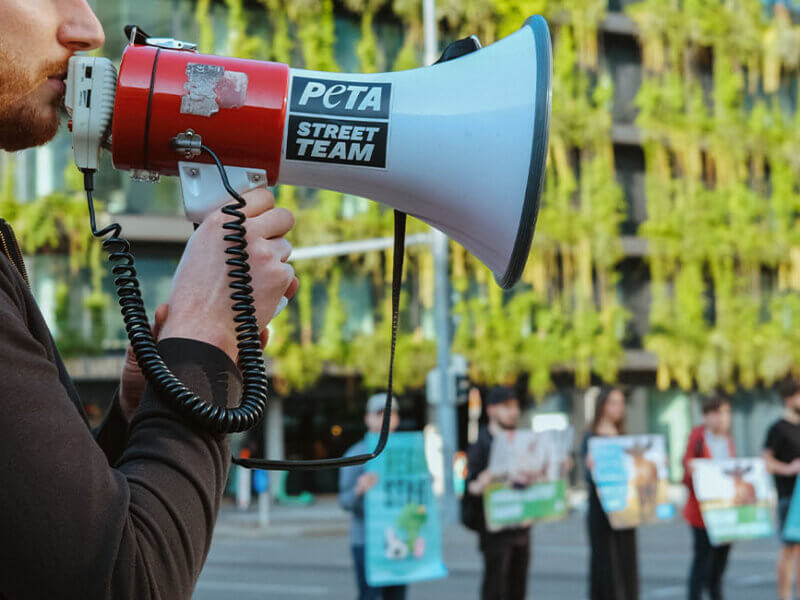 PETA Streetteam Demonstration auf der Strasse. Mann mit Megafon in der Hand.