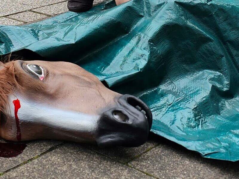 Pferdekopfatrappe mit blutigem Kopf liegt neben einer Plane.