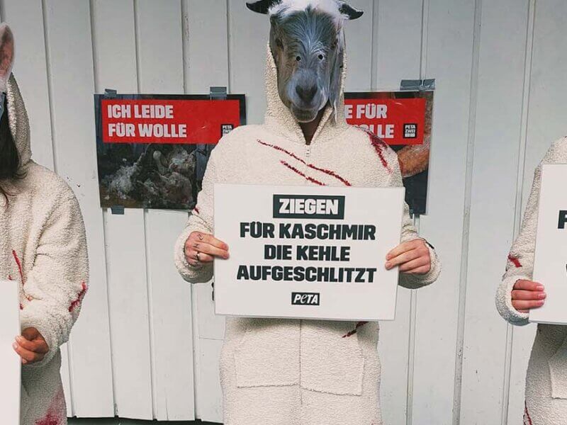 Menschen mit Tiermasken haben Schilder in der Hand