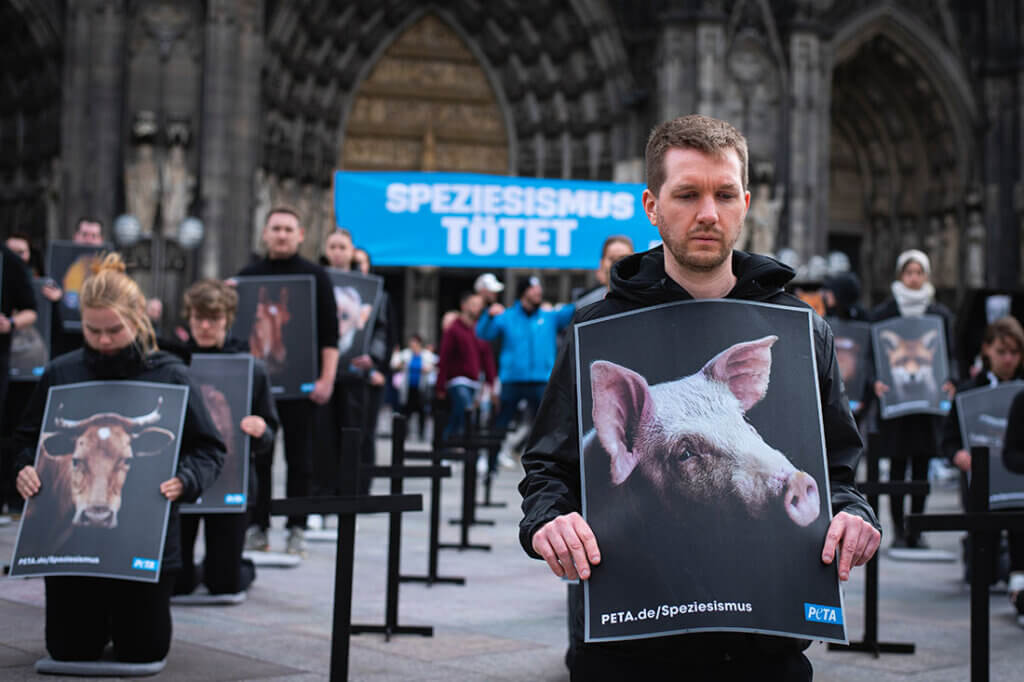 Menschen stehen vor dem Kölner Dom und protestieren