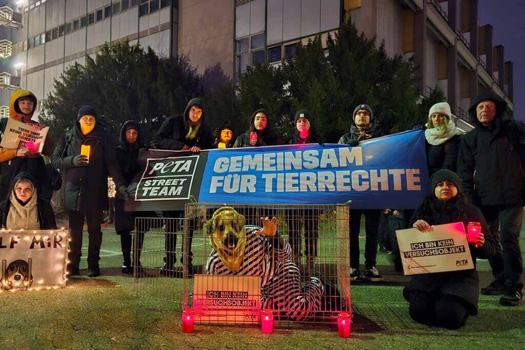 Demonstration