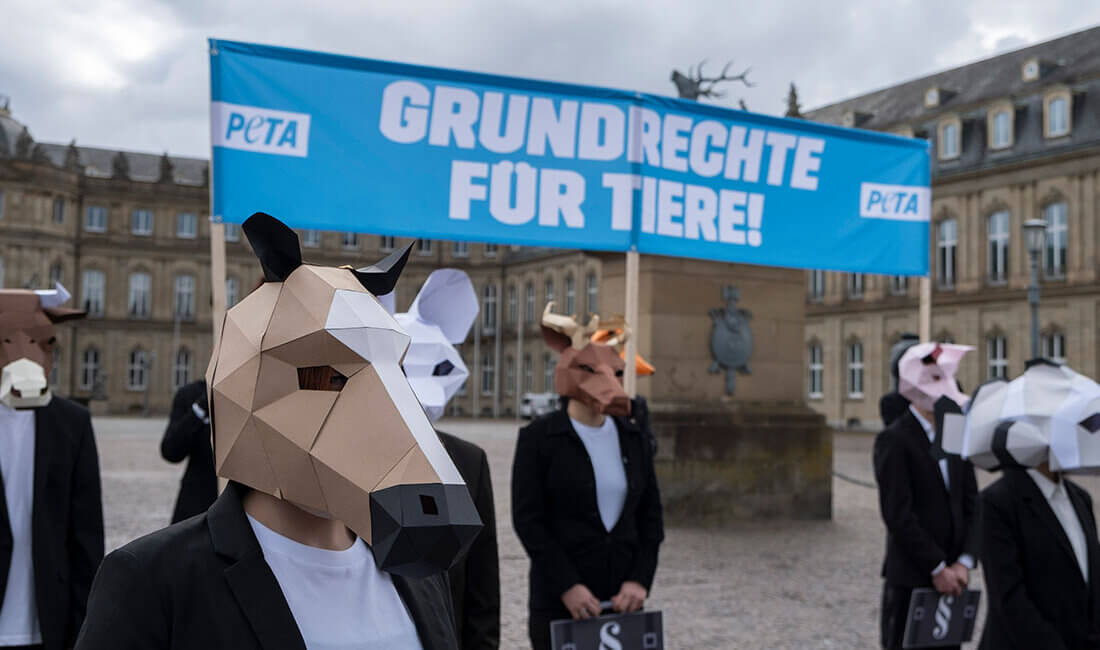 Demonstrierende mit Tiermasken.