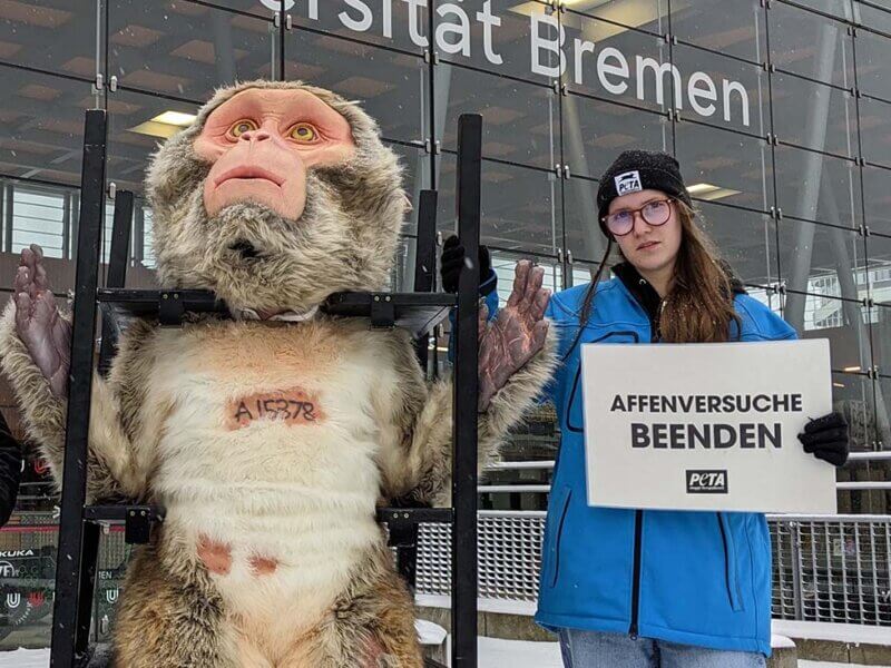 Demonstrantin mit einem Schild neben einem Affenkostuem.