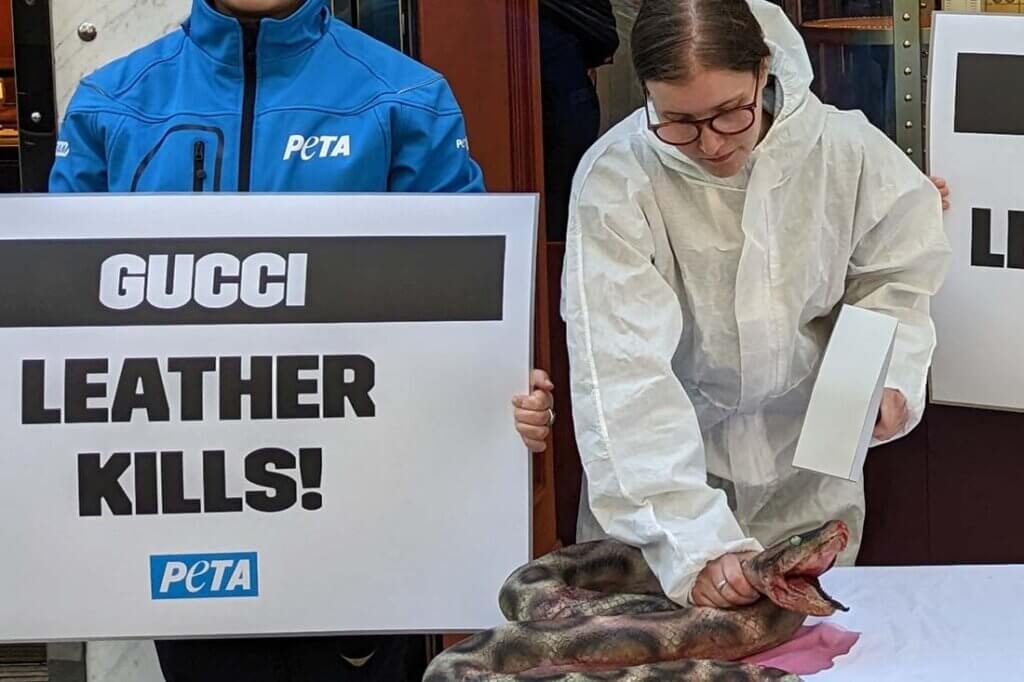 PETA Demonstration mit Schlangenattrape.