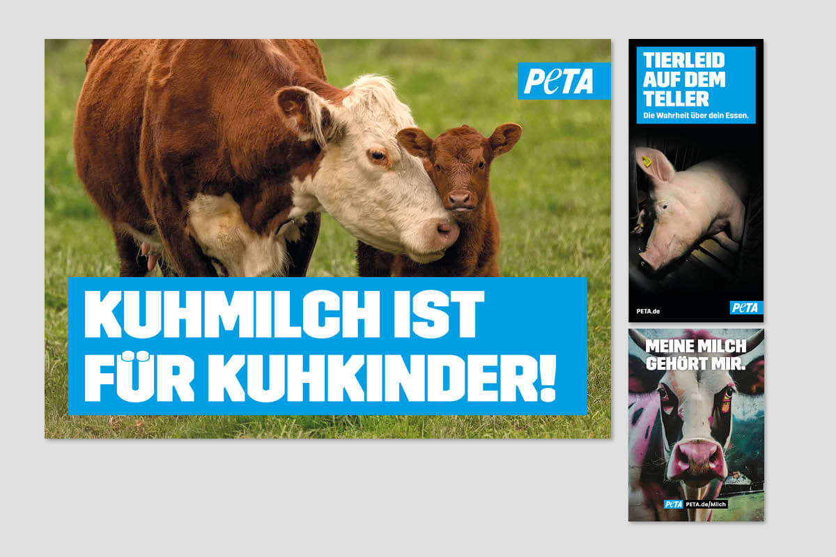 Milch