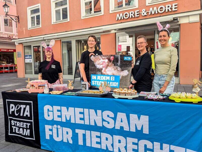 Osteraktion von PETA in den Innenstädten Deutschlands.