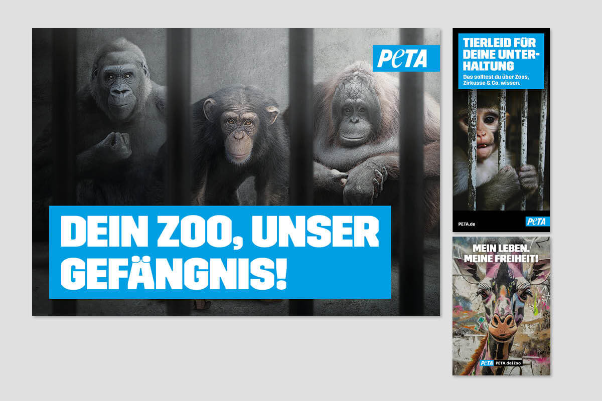 Zoo