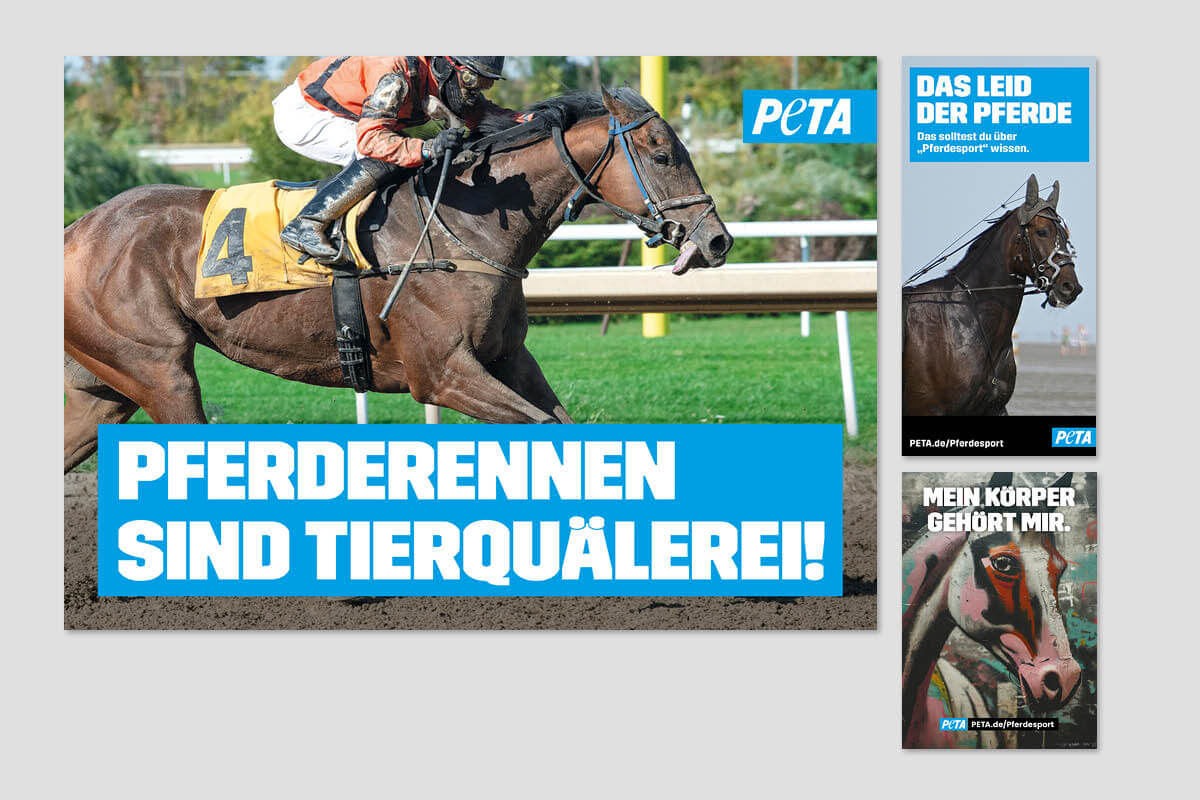 Pferderennen