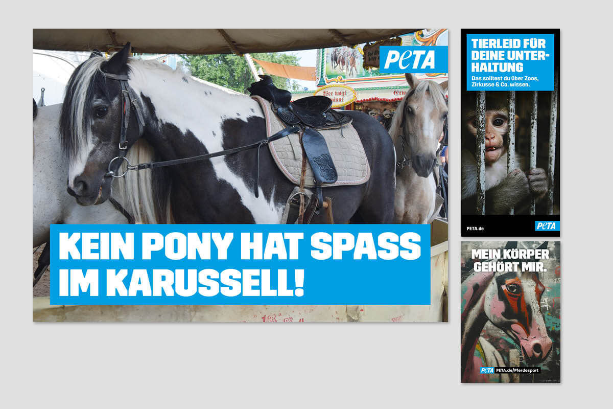 Ponykarussell