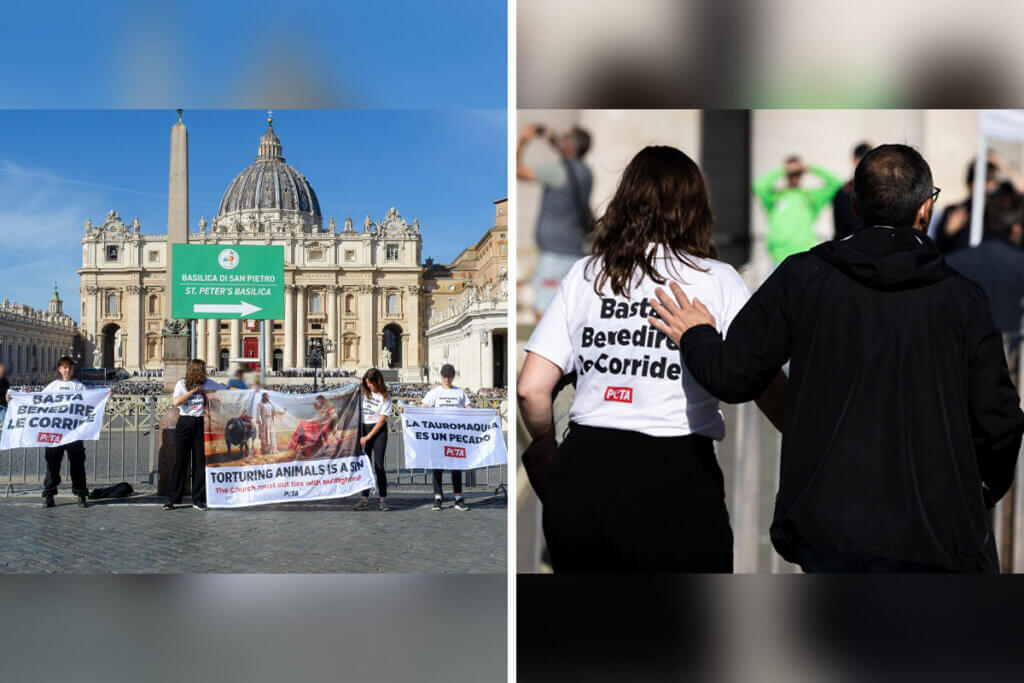 PETA-Aktion vor dem Petersdom