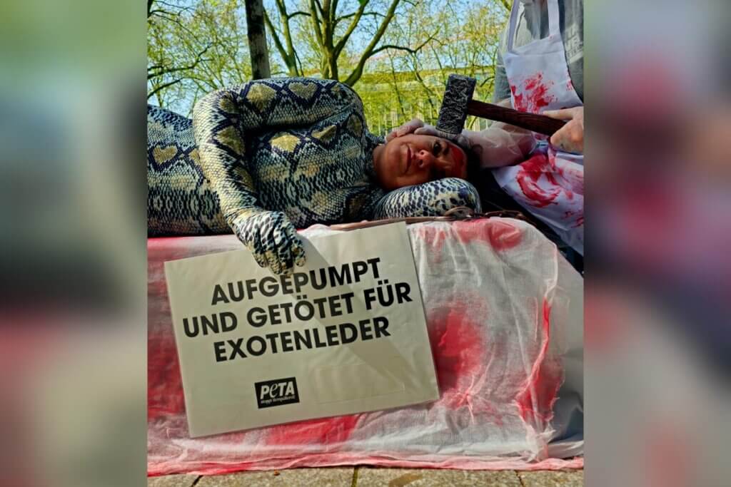 Streetteam-Leitung Stefanie aus Düsseldorf
