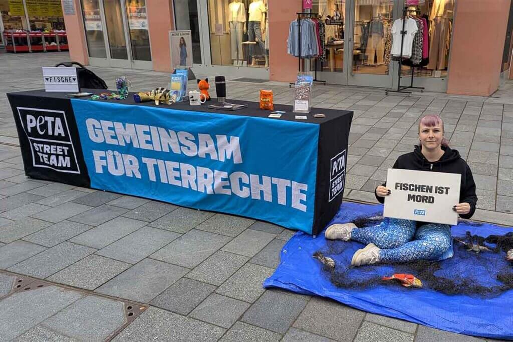 Aktion zum Welttag für das Ende der Fischerei in Heidelberg mit Stand und kleinen tragbaren Plakaten mit Aufschrift.