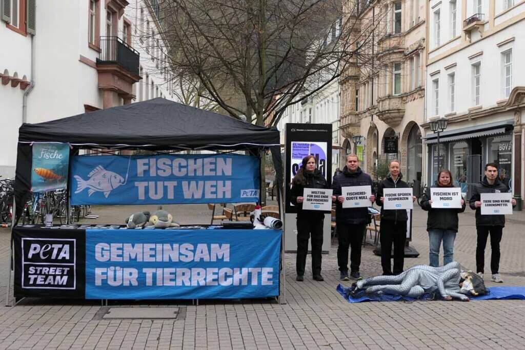 Aktion zum Welttag für das Ende der Fischerei in Heidelberg mit Stand und kleinen tragbaren Plakaten mit Aufschrift.