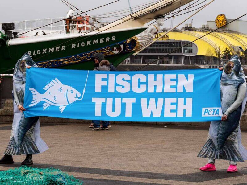 Aktion zum Welttag für das Ende der Fischerei vor einem Schiff im Hafen.